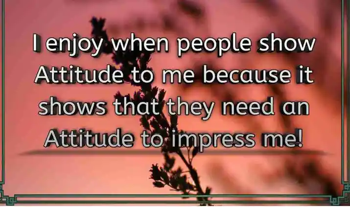I enjoy when people show Attitude to me...